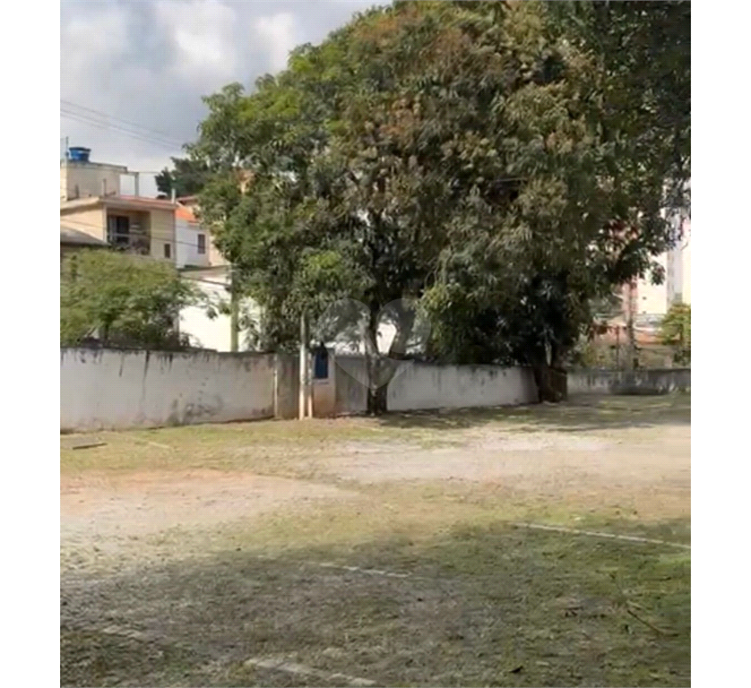 Aluguel Terreno São Paulo Vila Indiana REO87211 5