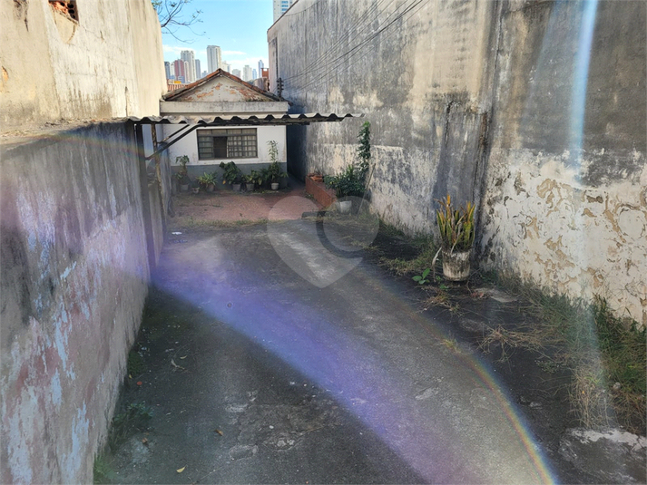 Foto REO872258