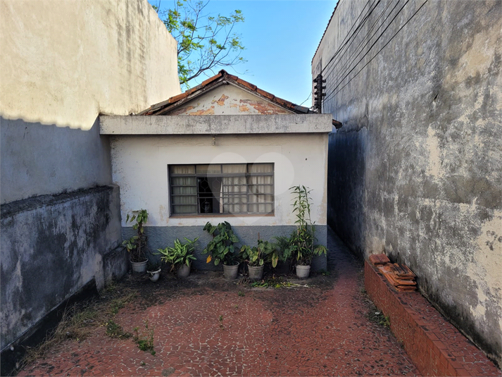 Foto REO872258