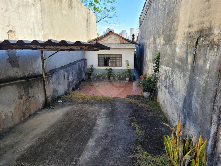 Foto REO872258