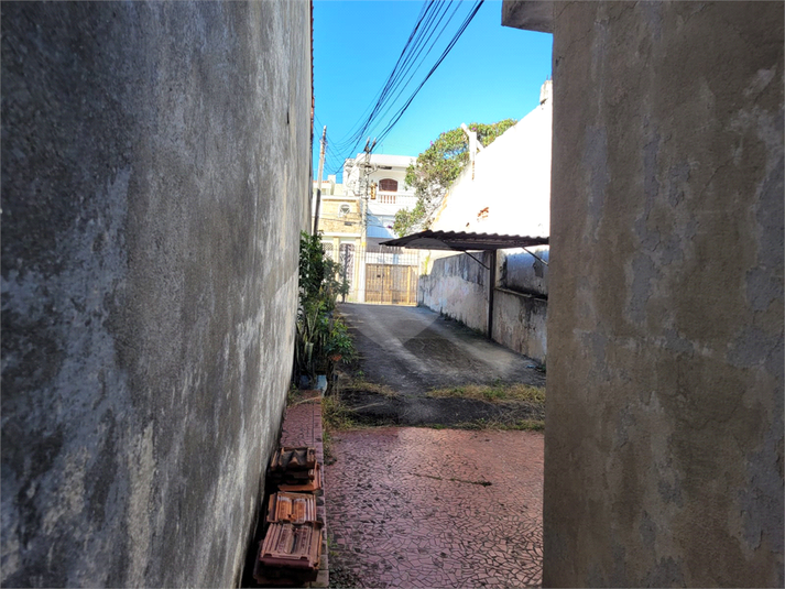 Foto REO872258