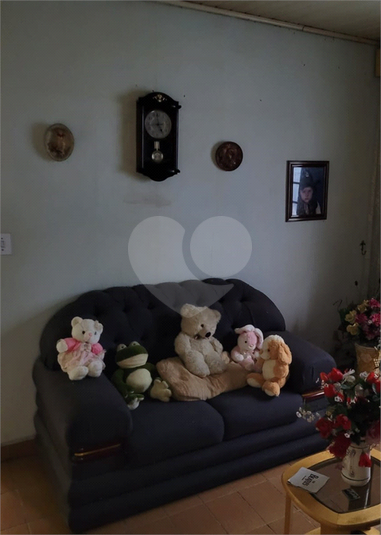 Foto REO872258