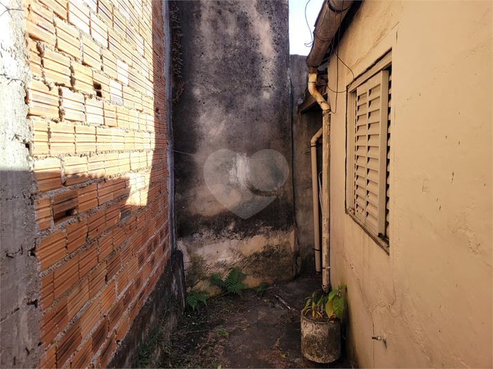 Foto REO872258