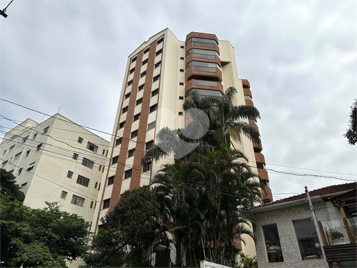 Foto REO872556