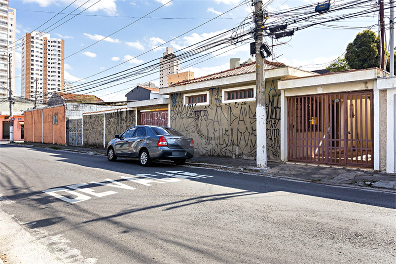 Foto REO87278