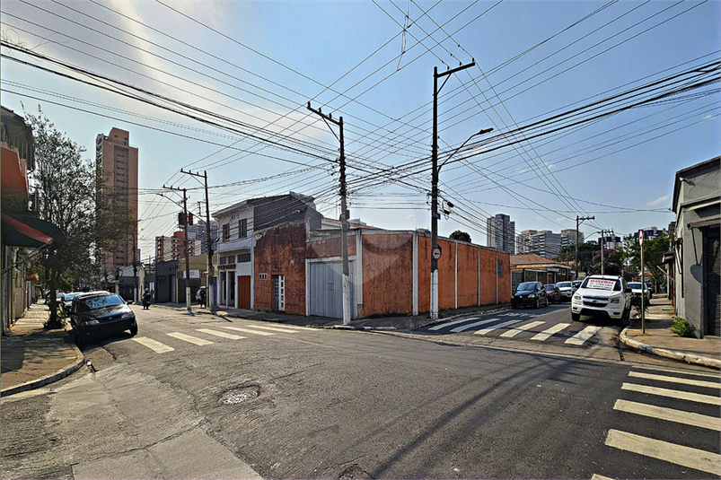 Foto REO87278