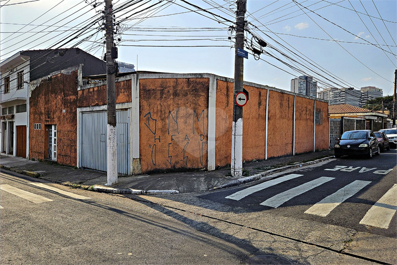 Foto REO87278