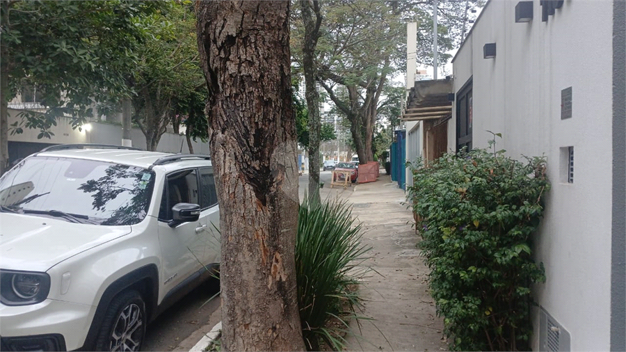 Foto REO87327