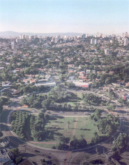 Foto REO873585