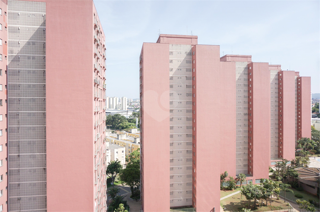 Venda Apartamento São Paulo Jardim Das Laranjeiras REO873727 34