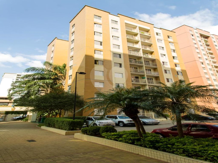 Venda Apartamento São Paulo Cambuci REO873767 50