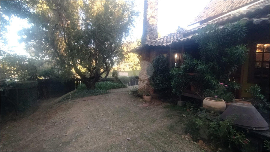 Foto REO873866