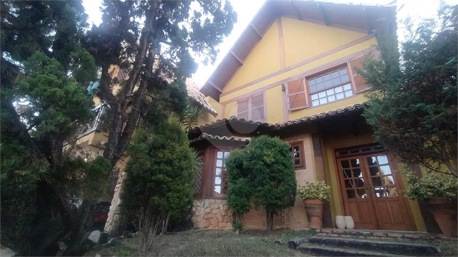 Foto REO873866
