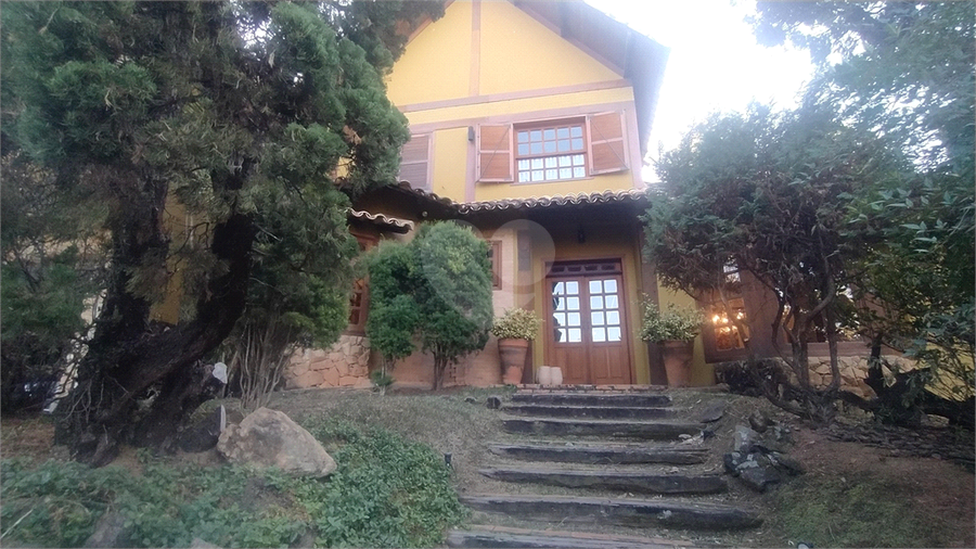 Foto REO873866