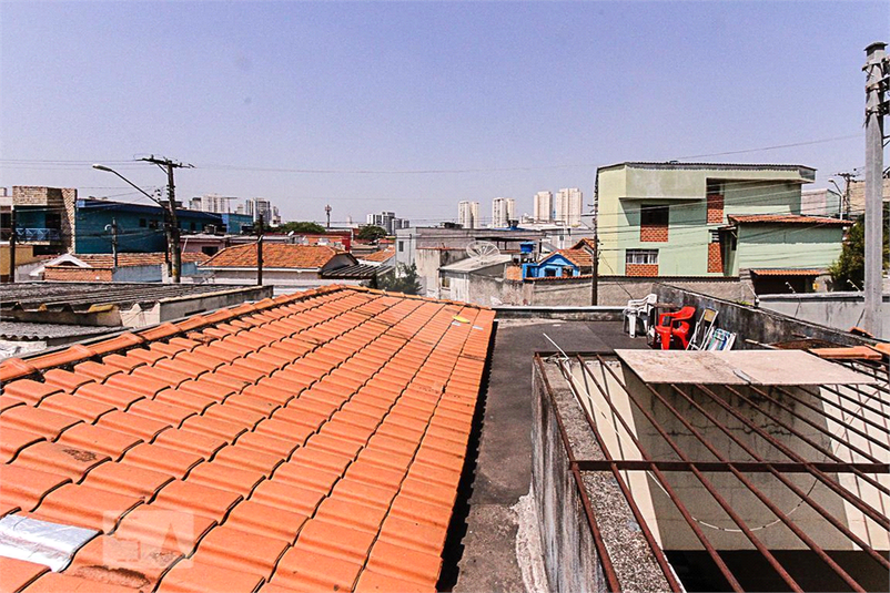 Foto REO874037