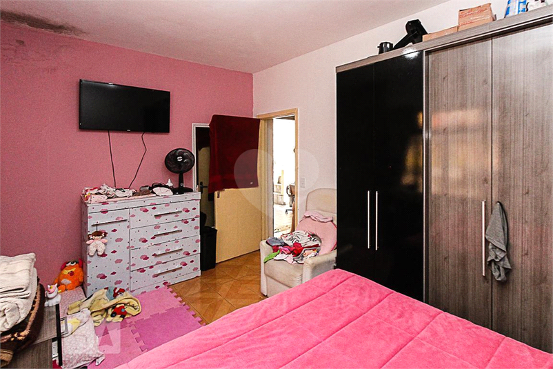 Foto REO874037