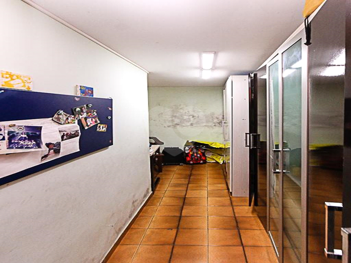 Foto REO874037