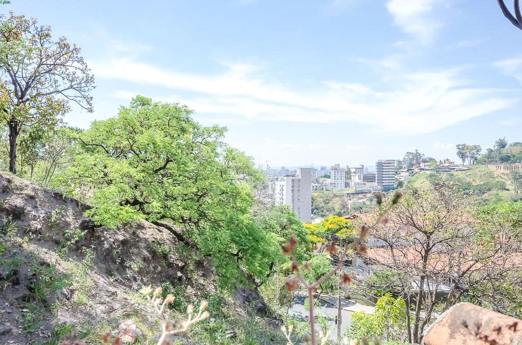 Venda Casa Belo Horizonte Santa Lúcia REO875143 40