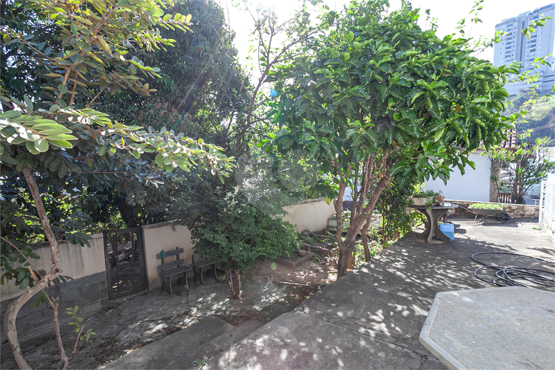 Foto REO875237