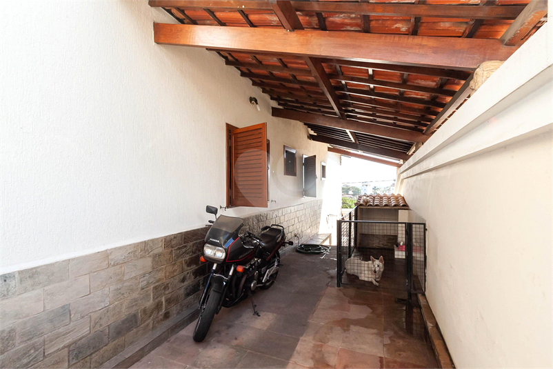 Foto REO875237