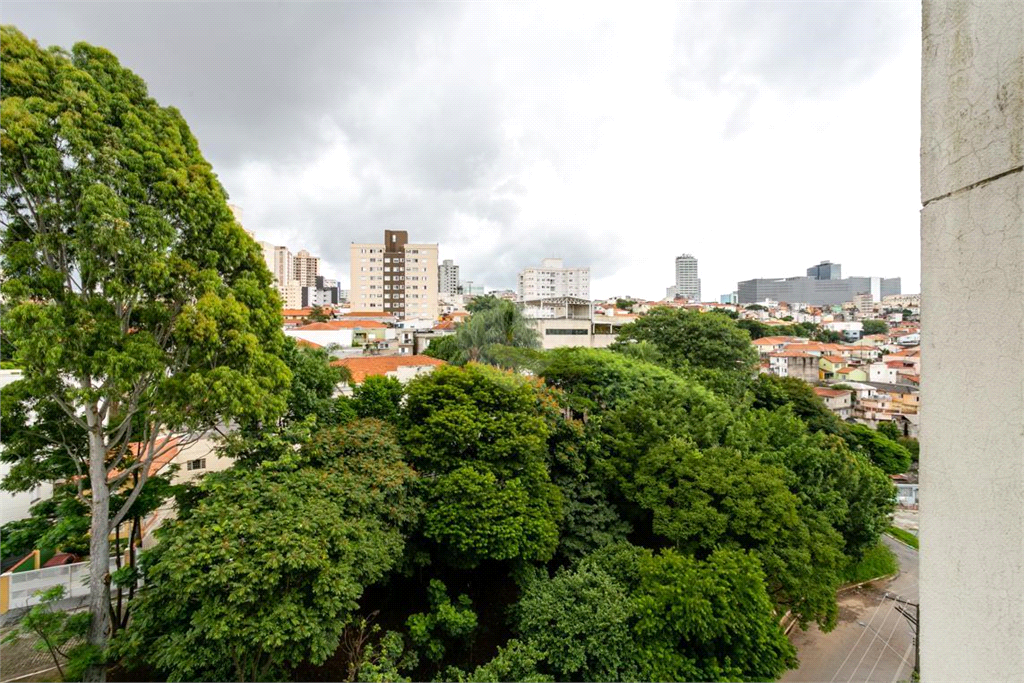 Venda Apartamento São Paulo Santana REO875308 14