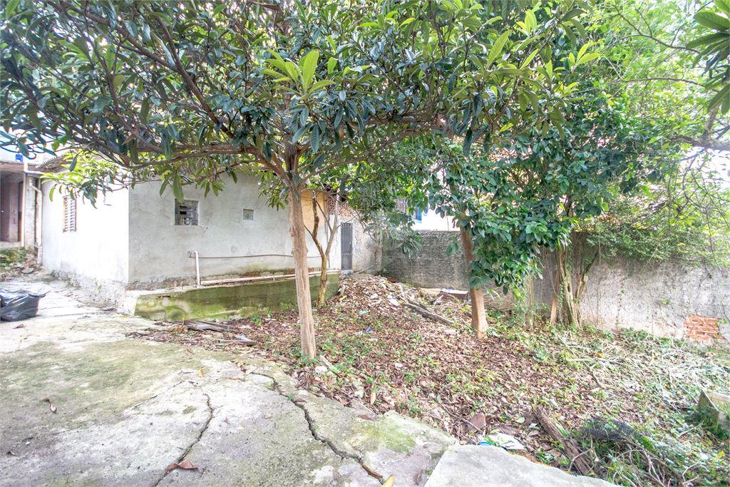 Venda Casa São Paulo Vila Maria Alta REO875696 27