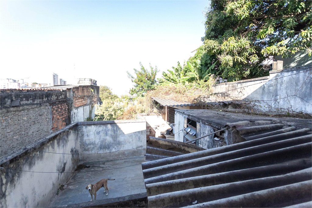 Venda Casa Belo Horizonte Sagrada Família REO875914 38