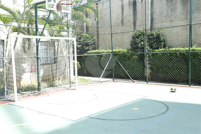 Foto REO876371