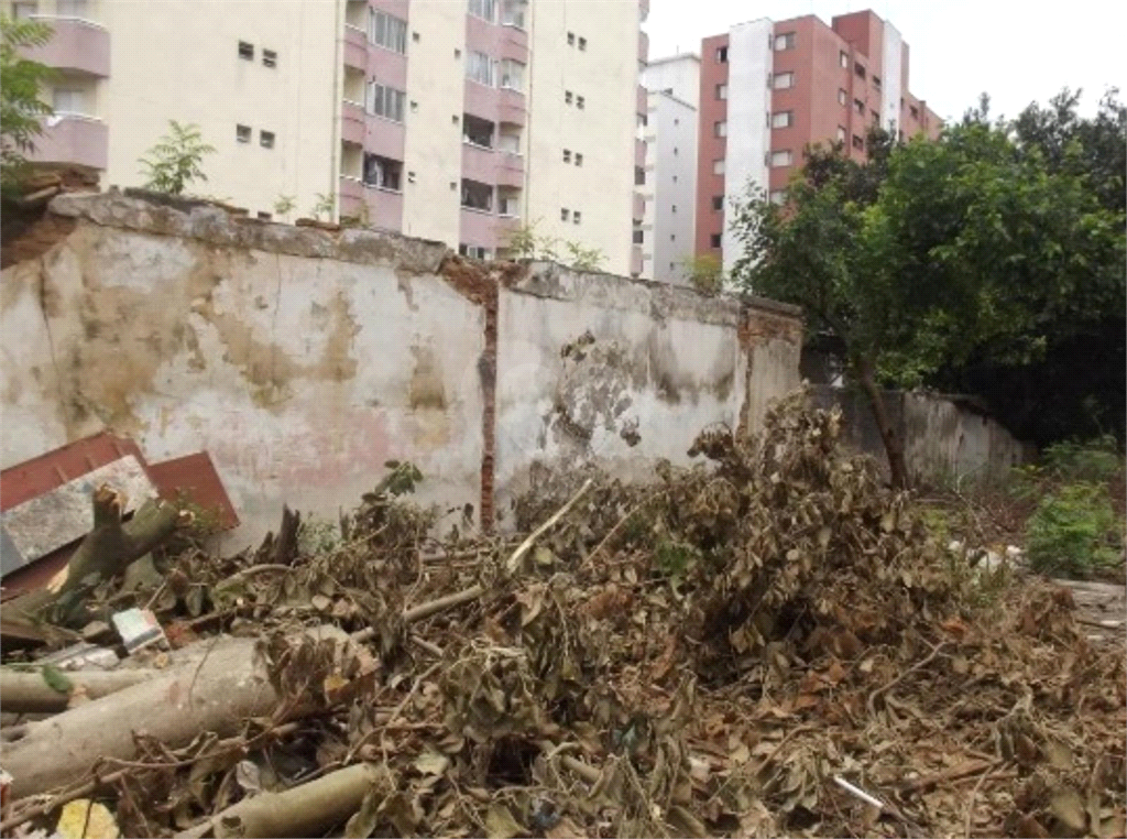 Venda Terreno São Paulo Planalto Paulista REO876385 5