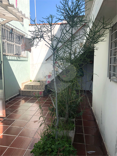 Foto REO876417