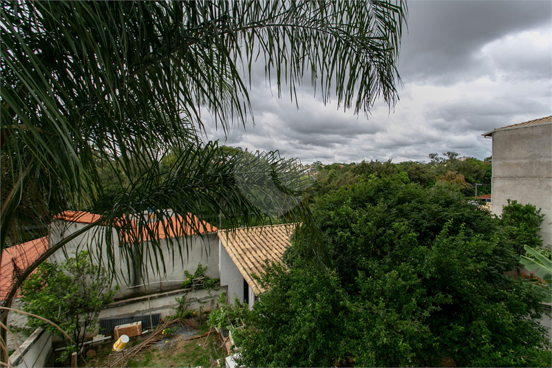 Foto REO876424