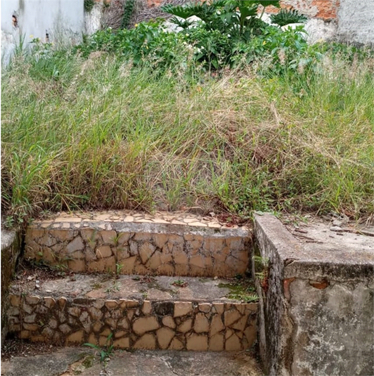 Foto REO876460