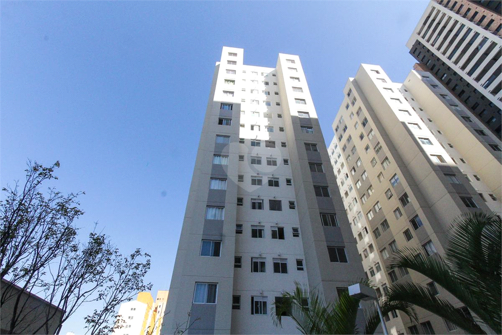 Venda Apartamento São Paulo Brás REO876734 33