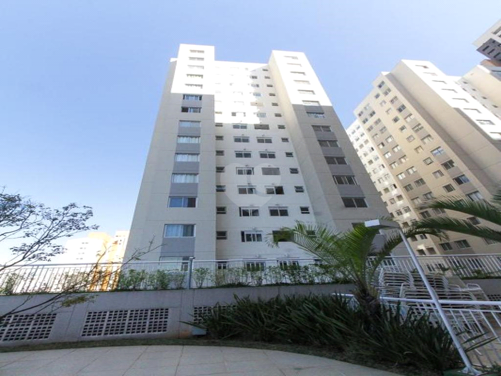 Venda Apartamento São Paulo Brás REO876734 34