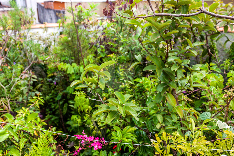 Venda Casa São Paulo Vila Leonor REO876829 46