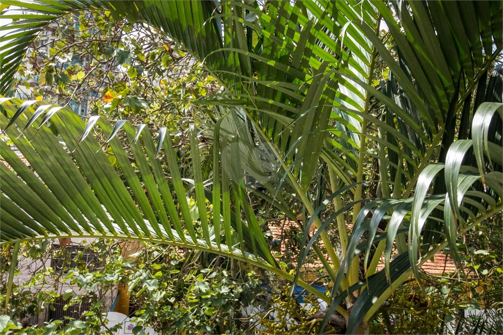 Venda Casa São Paulo Parque Da Mooca REO876955 33