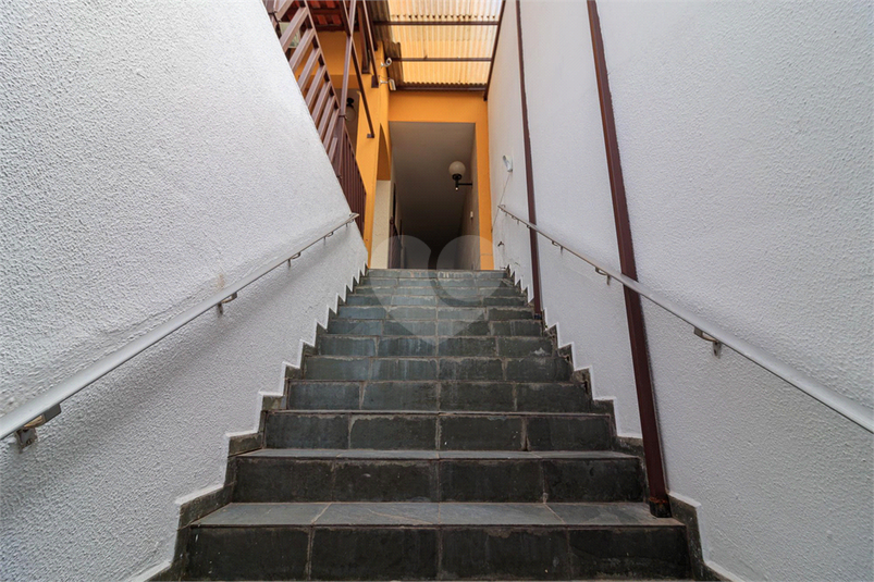 Foto REO876959