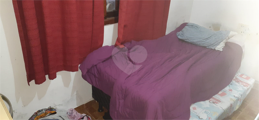 Foto REO877447