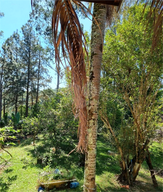 Venda Chácara Mairinque Residencial Porta Do Sol REO877825 2