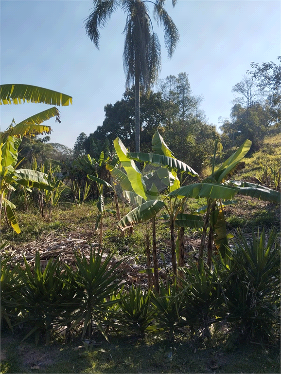 Venda Chácara Biritiba-mirim Centro REO877922 18