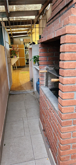 Foto REO878139