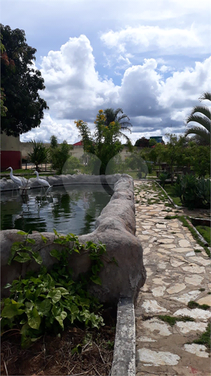 Foto REO878148