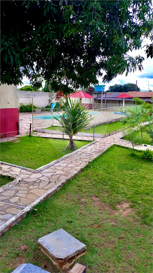 Foto REO878148