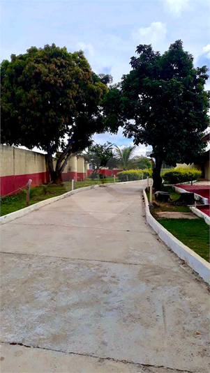 Foto REO878148