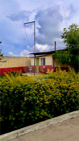 Foto REO878148