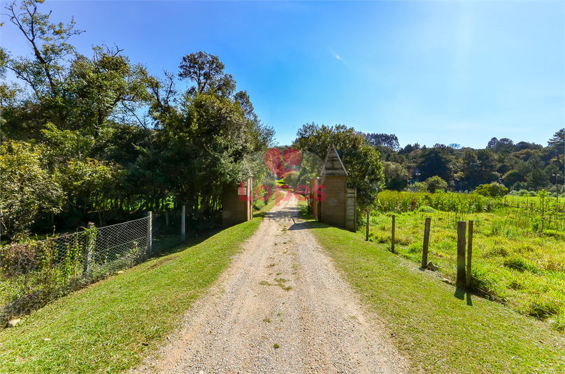 Venda Chácara Campina Grande Do Sul Jardim Araçatuba REO878249 83