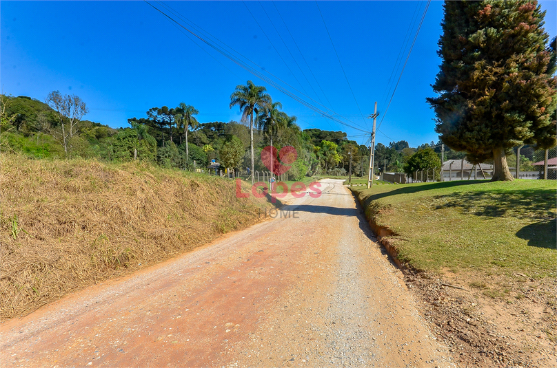 Venda Chácara Campina Grande Do Sul Jardim Araçatuba REO878249 81