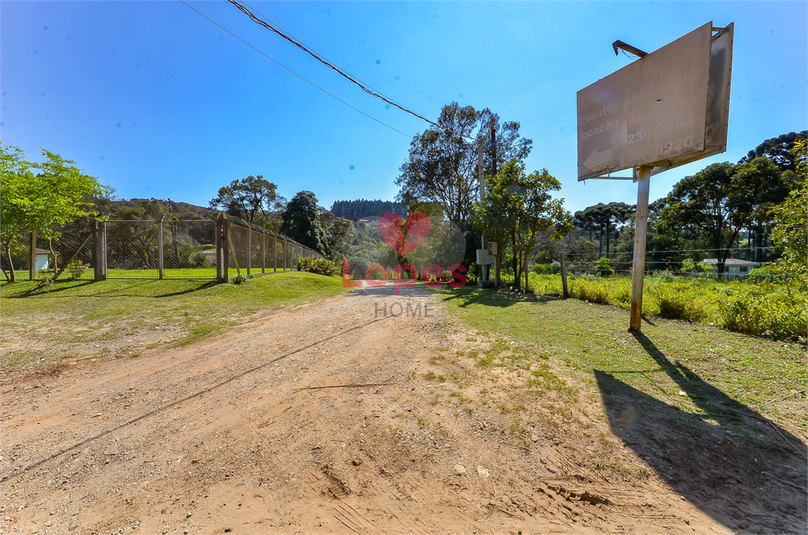 Venda Chácara Campina Grande Do Sul Jardim Araçatuba REO878249 82