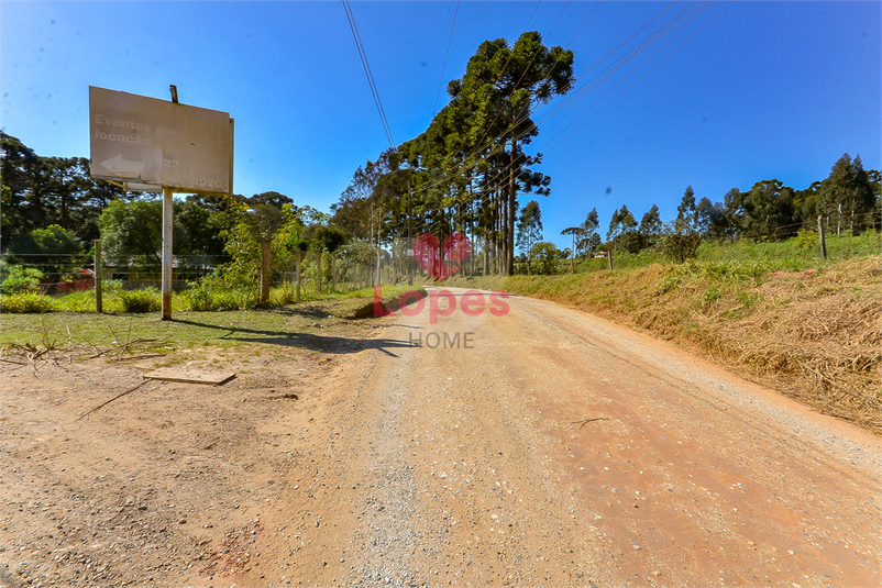 Venda Chácara Campina Grande Do Sul Jardim Araçatuba REO878249 80