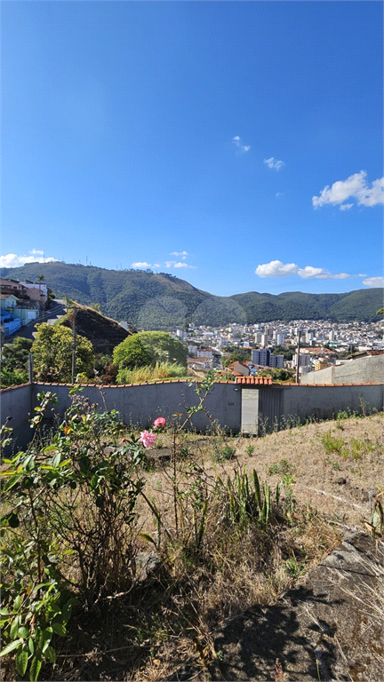 Venda Terreno Poços De Caldas Santa Ângela REO878265 10